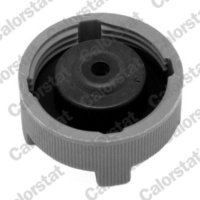 RC0086 CALORSTAT BY VERNET